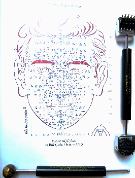 Soin par les mains - reflexologie faciale Dien Chan